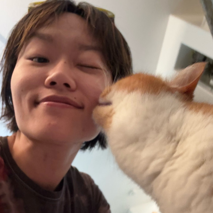 Humane Society Trained Cat Lover photo 2