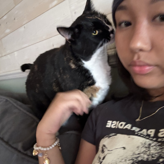 Trusted Cat Care In Bergen County