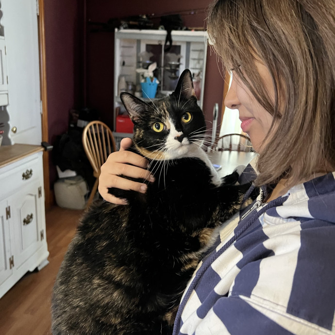 Trusted Cat Care In Bergen County photo 2