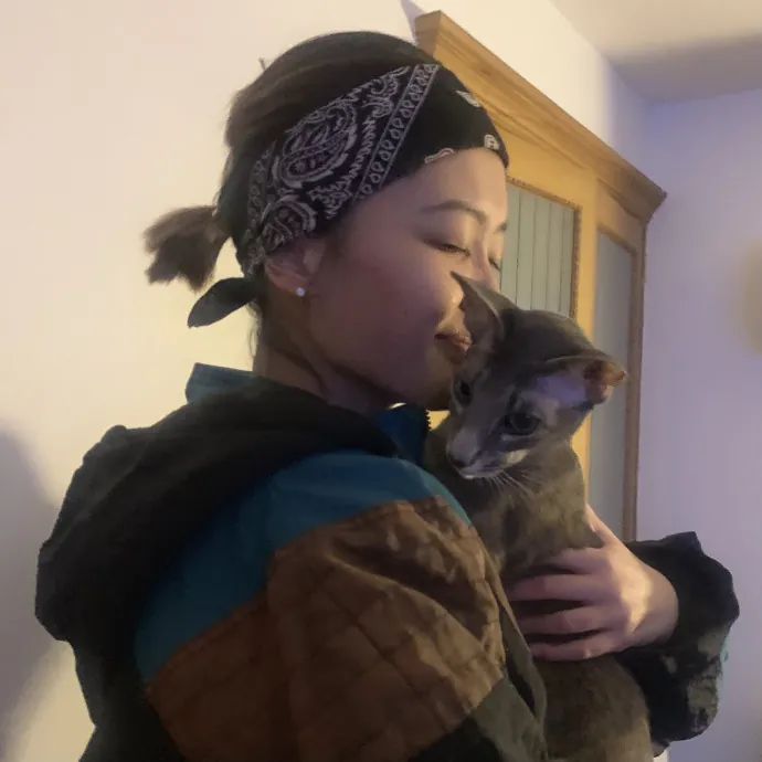 Mercy Around Them Meowmeows