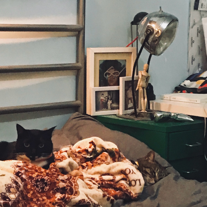Mercy Around Them Meowmeows
