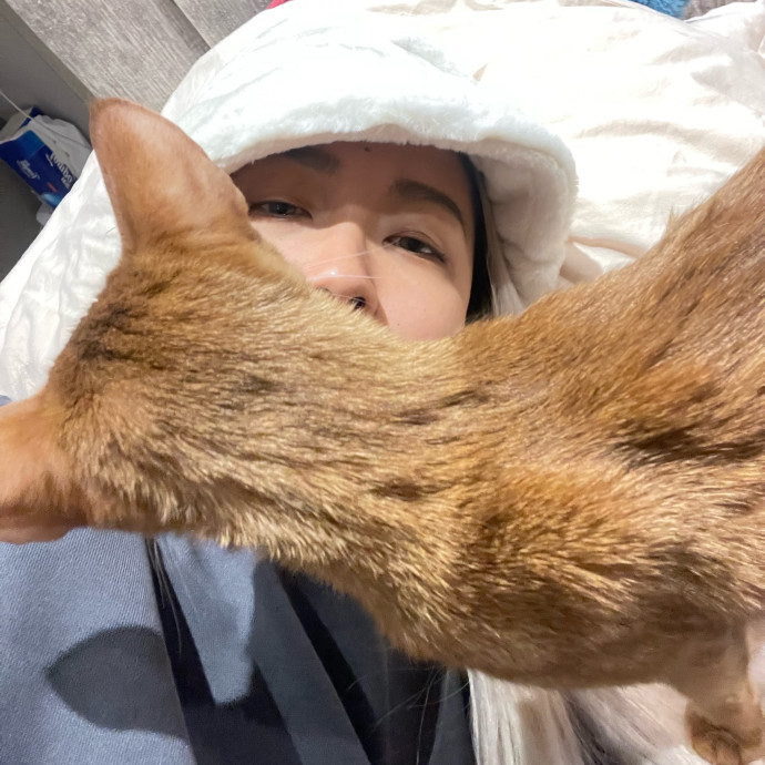 Mercy Around Them Meowmeows