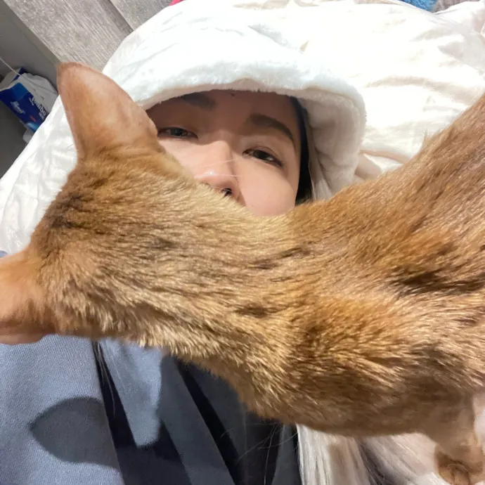 Mercy Around Them Meowmeows