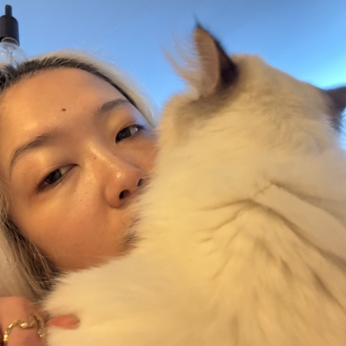 Mercy Around Them Meowmeows