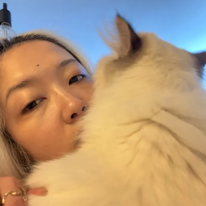 Mercy Around Them Meowmeows