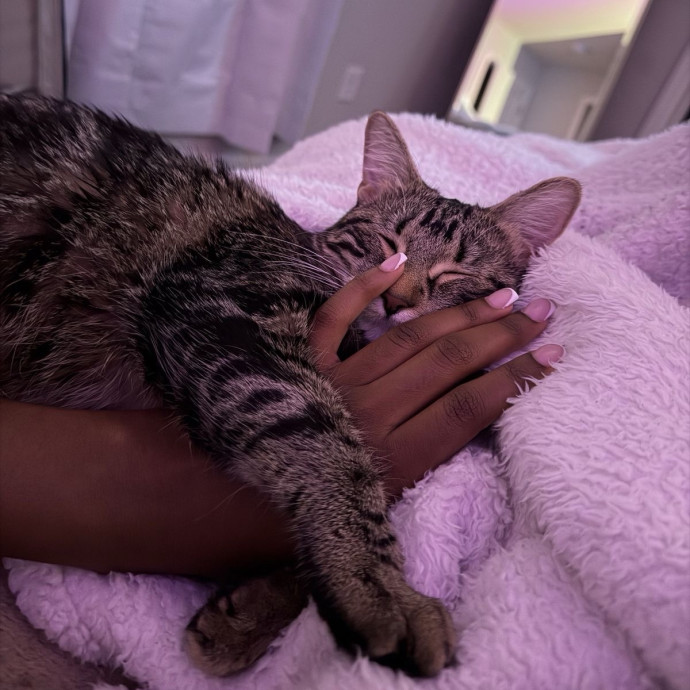 Experienced Cat Sitter And Photographer