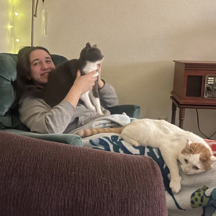 Kaya's Cat Sitting photo 3