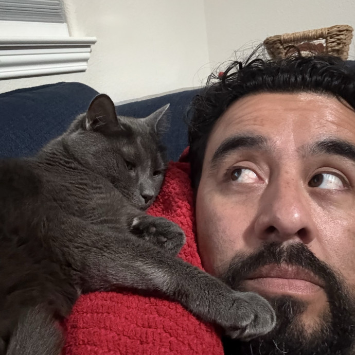 Reliable Cat Care In Northeast El Paso