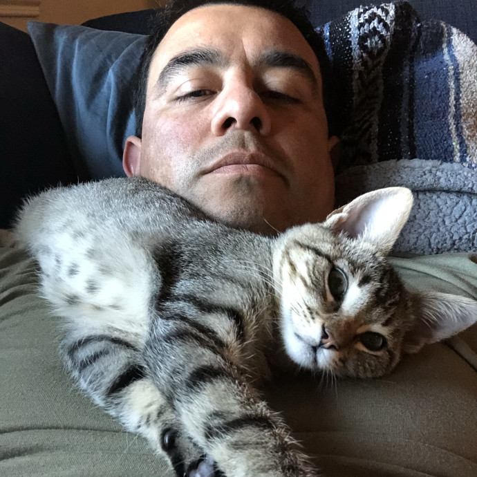 Reliable Cat Care In Northeast El Paso