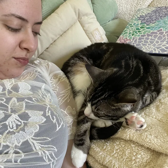 Your Cat's Safe Person photo 4