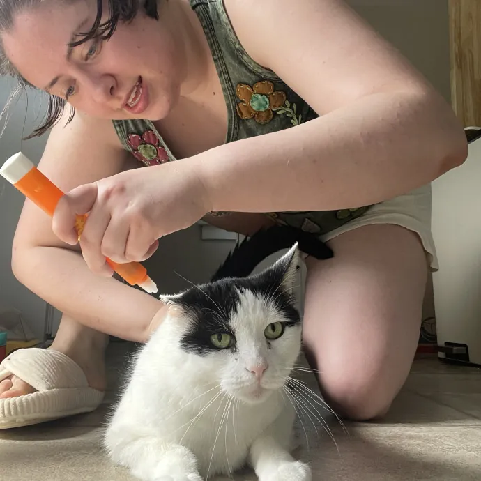 Your Cat's Safe Person photo 2
