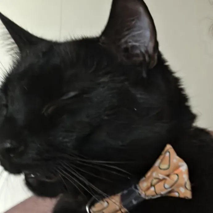 Jack N.