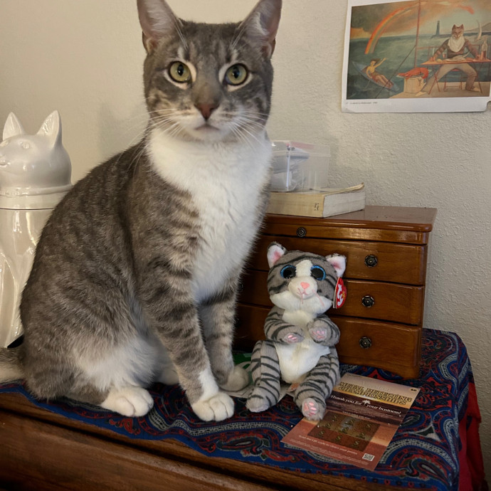 Mary Kate's Kitty Kare photo 2
