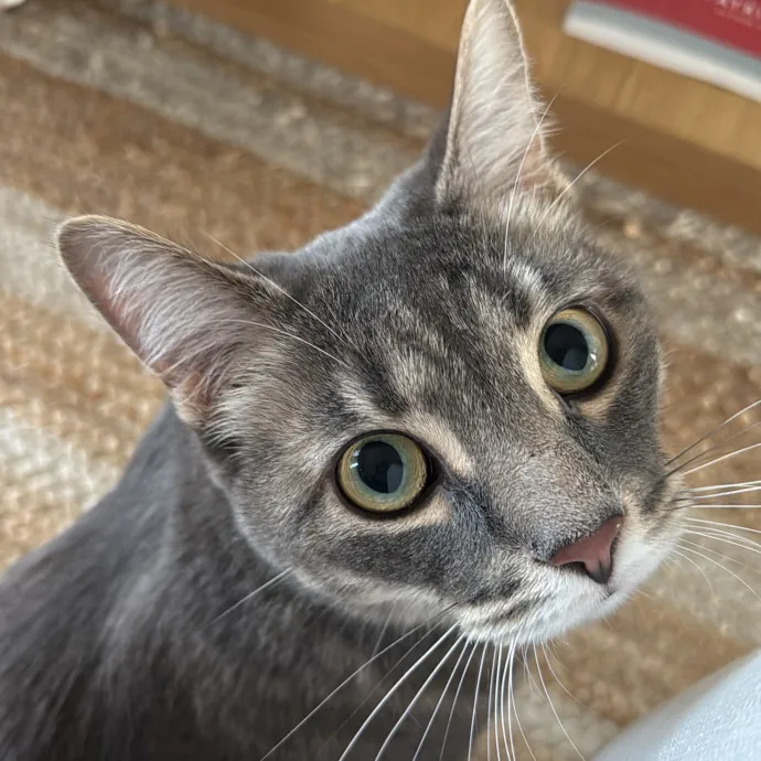 Savannah H.
