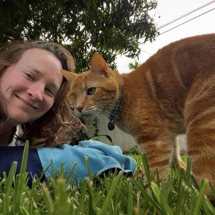 Friendly Reliable Cat Care In Your Home
