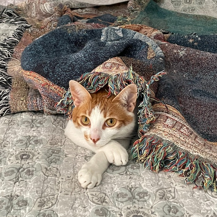 It's All About Your Furbaby