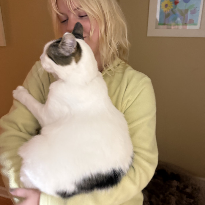 Reliable Recently Graduated Bend Catsitter