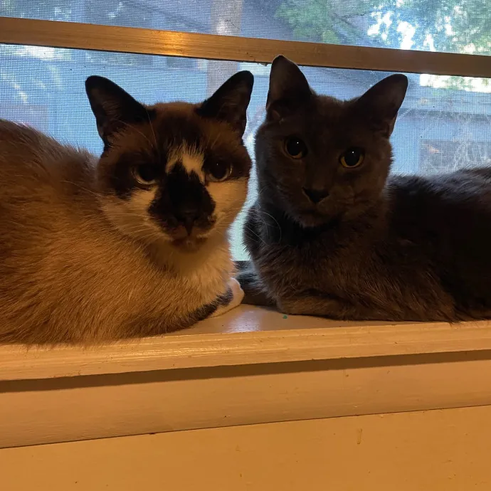 Tulsa Furriends
