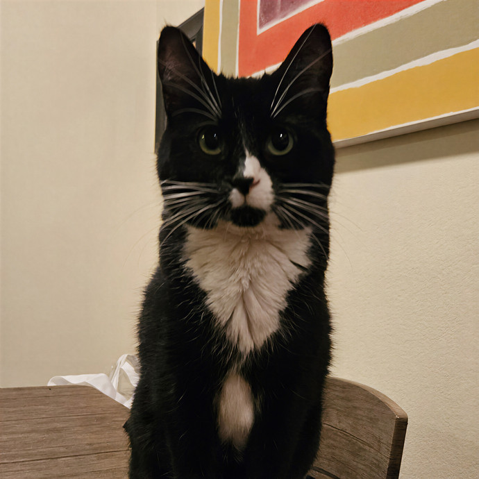 Tulsa Furriends