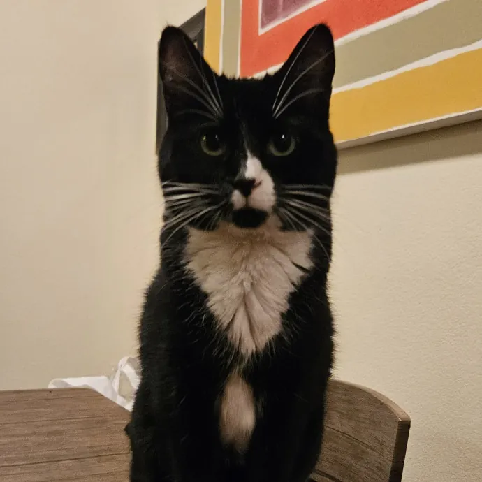 Tulsa Furriends