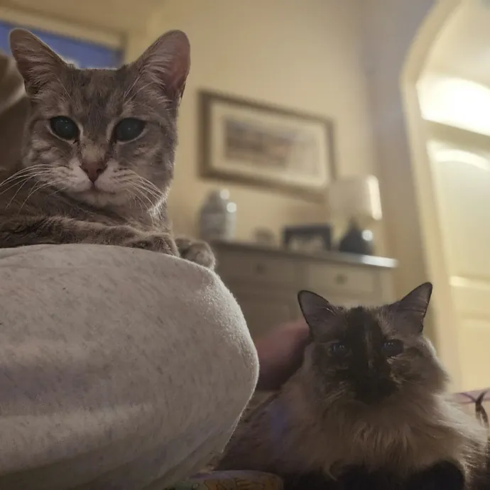 Tulsa Furriends