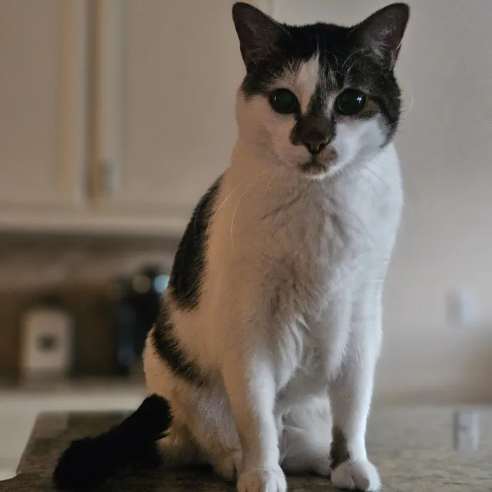 Tulsa Furriends