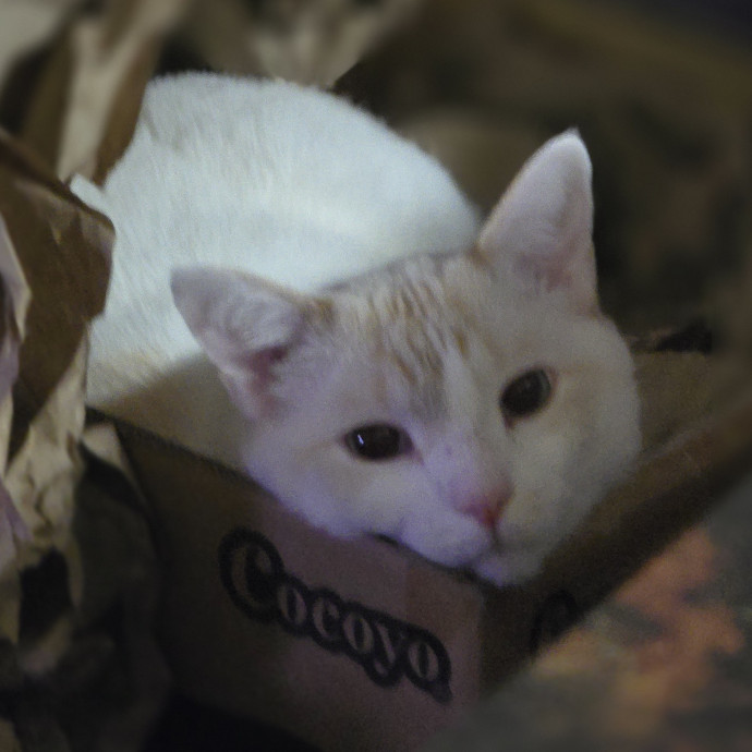 Tulsa Furriends photo 3