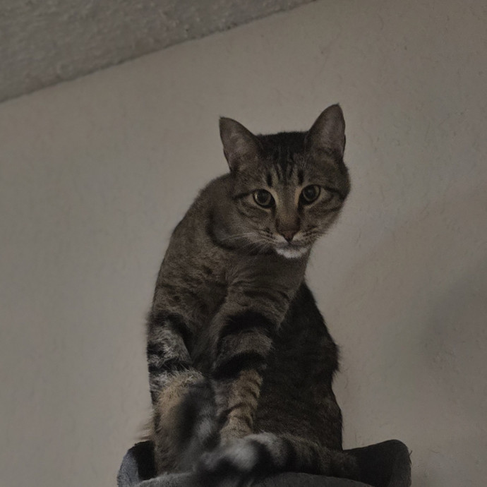 Tulsa Furriends photo 2