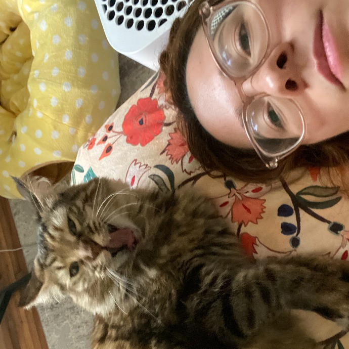 Cat Mama Happy To Care For Your Babies