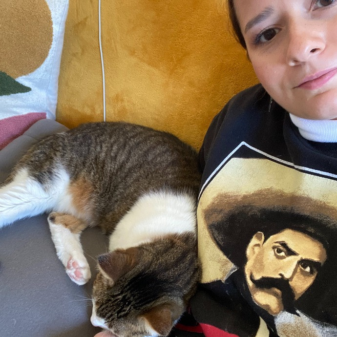 Cat Mama Happy To Care For Your Babies