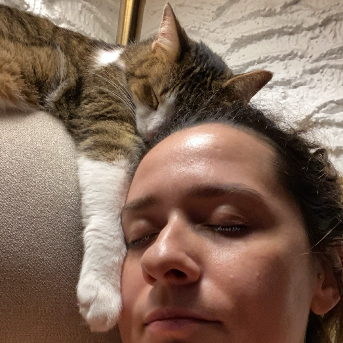 Cat Mama Happy To Care For Your Babies