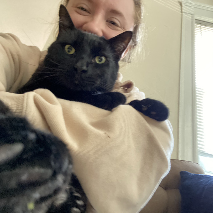 Pawsome Cat Sitter And Cat Lady