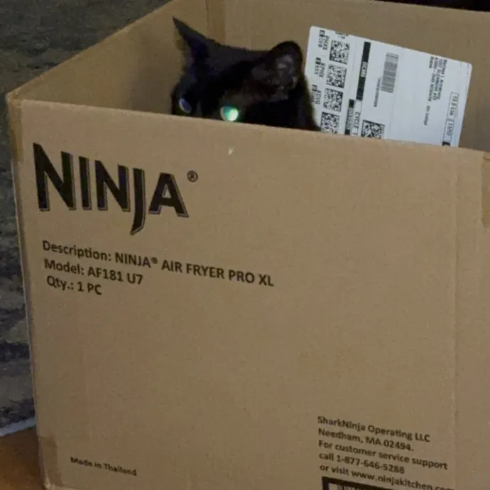Purrfect Cat Lady Here