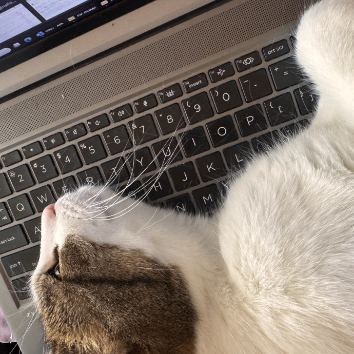 Purrfect Cat Lady Here