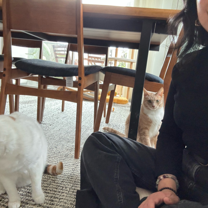 Purrs Play And Gentle Care By Nini