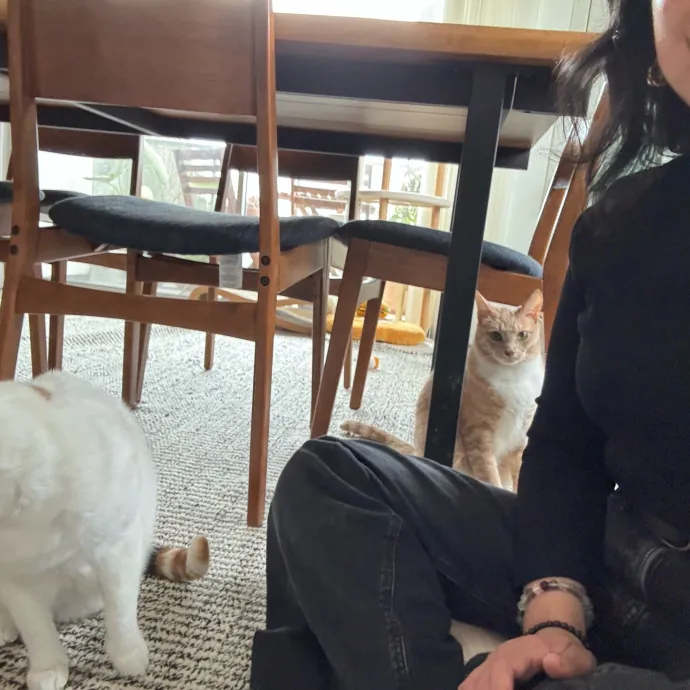 Purrs Play And Gentle Care By Nini