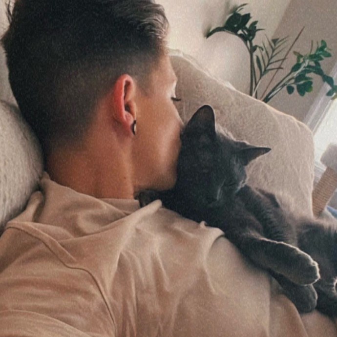 Calm Kitty Vibes  Stress Free For You