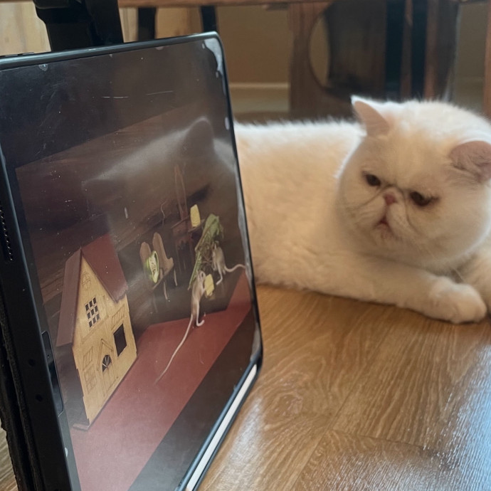 Pawesome Meowments