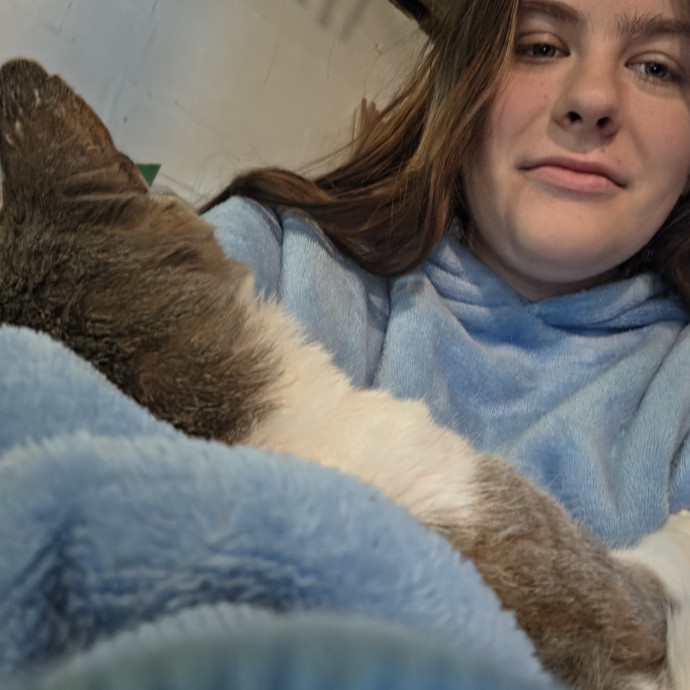 Experienced Cat Sitter  Pet Care