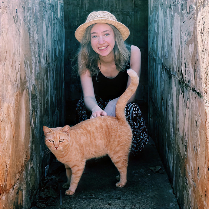 Professional Cat Care By Chloe
