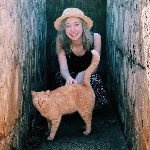 Professional Cat Care By Chloe