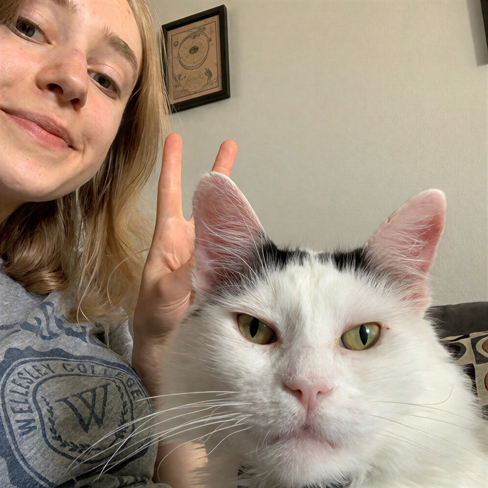Professional Cat Care By Chloe