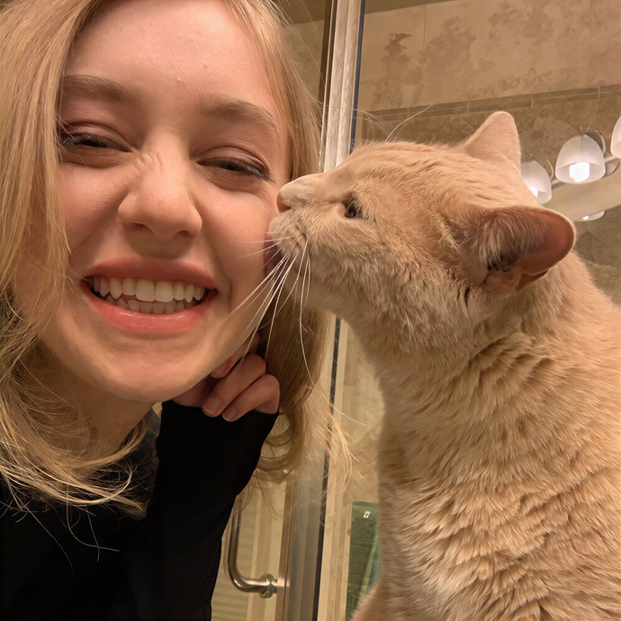 Professional Cat Care By Chloe
