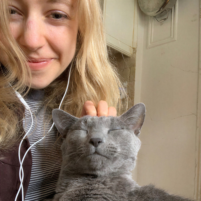 Professional Cat Care By Chloe photo 2