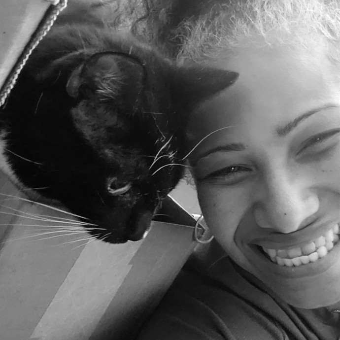Cats Are Purrfection