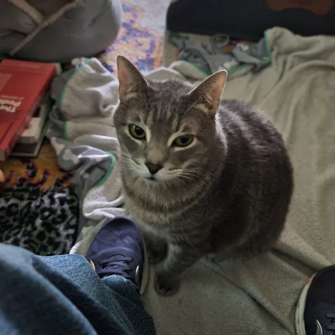 Kat C.