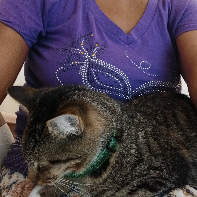 It's A Cat's World - Darnise Sits For U photo 2