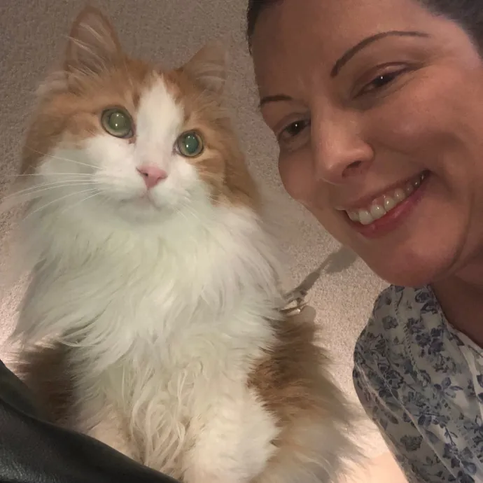 Lifetime Cat Mom For Kitty Sitting