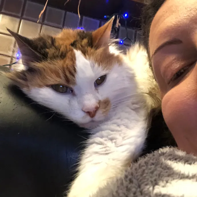 Lifetime Cat Mom For Kitty Sitting