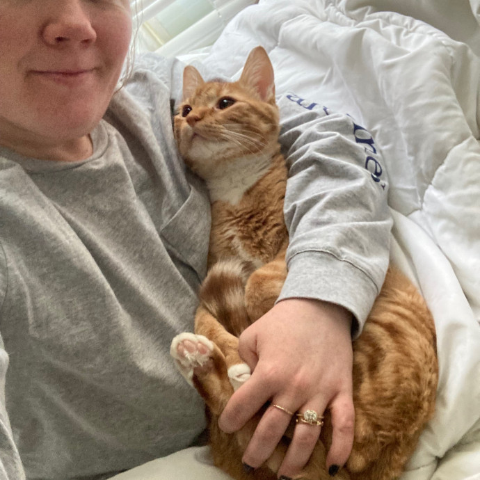 Cat-Whisperer Christine's Chicago Cat Care
